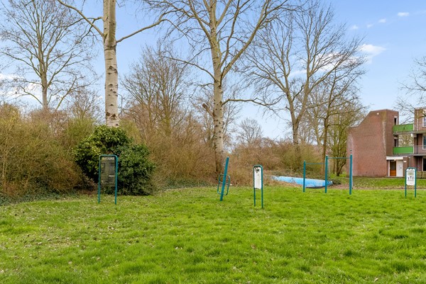 OLDEWIERDE 158-42.jpg